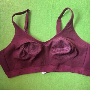 Cacique Women's Rich Purple Bra